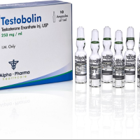 Testosterone E250-长睾-Alpha