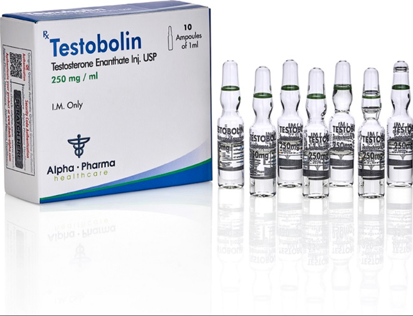 Testosterone E250-长睾-Alpha